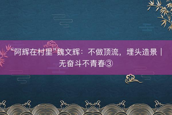 “阿辉在村里”魏文辉：不做顶流，埋头造景｜无奋斗不青春③