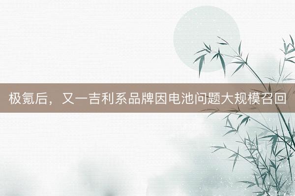 极氪后，又一吉利系品牌因电池问题大规模召回