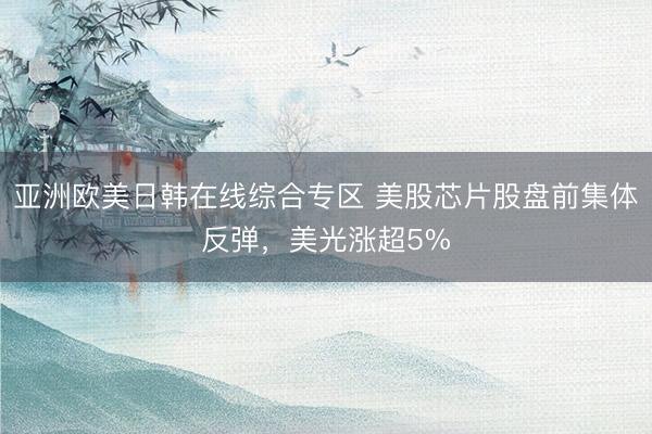 亚洲欧美日韩在线综合专区 美股芯片股盘前集体反弹，美光涨超5%