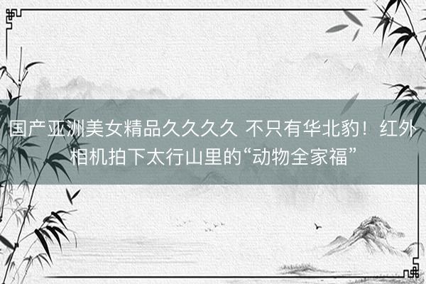 国产亚洲美女精品久久久久 不只有华北豹！红外相机拍下太行山里的“动物全家福”