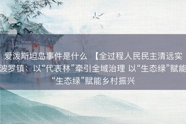 爱泼斯坦岛事件是什么 【全过程人民民主清远实践】英德波罗镇：以“代表林”牵引全域治理 以“生态绿”赋能乡村振兴