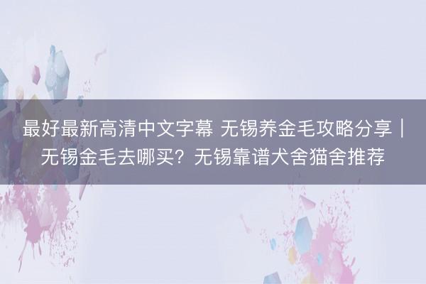 最好最新高清中文字幕 无锡养金毛攻略分享|无锡金毛去哪买?无锡靠谱犬舍猫舍推荐