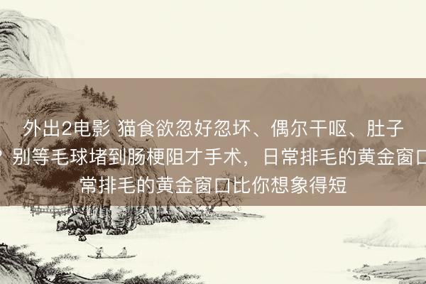 外出2电影 猫食欲忽好忽坏、偶尔干呕、肚子摸起来有点胀？别等毛球堵到肠梗阻才手术，日常排毛的黄金窗口比你想象得短