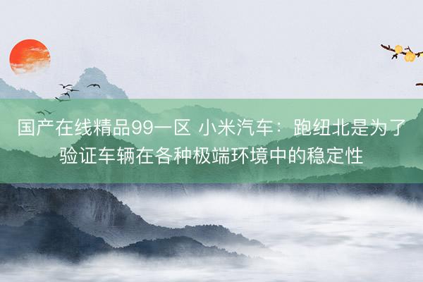 国产在线精品99一区 小米汽车：跑纽北是为了验证车辆在各种极端环境中的稳定性