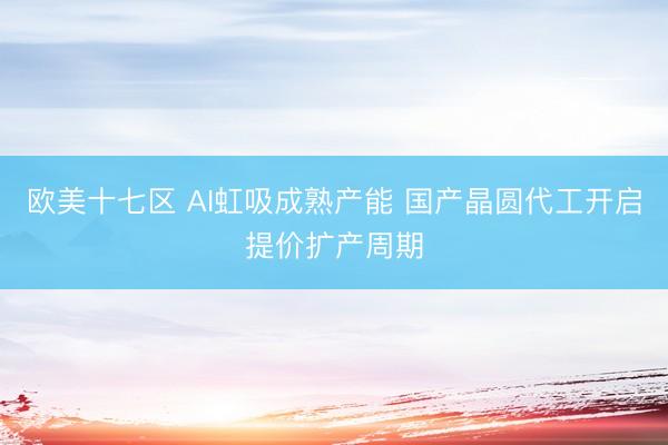 欧美十七区 AI虹吸成熟产能 国产晶圆代工开启提价扩产周期