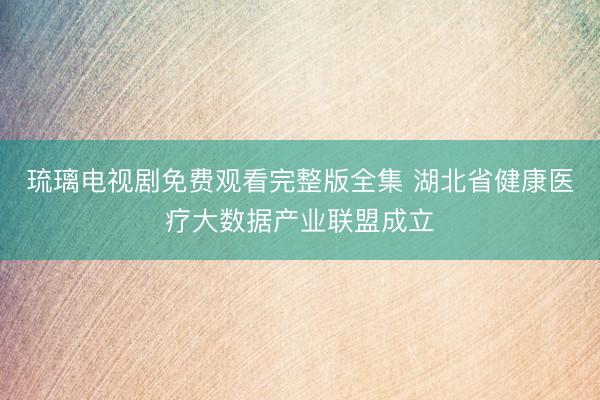 琉璃电视剧免费观看完整版全集 湖北省健康医疗大数据产业联盟成立