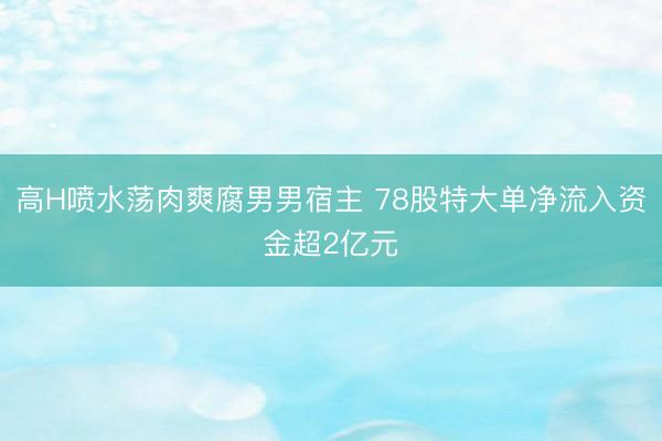 高H喷水荡肉爽腐男男宿主 78股特大单净流入资金超2亿元