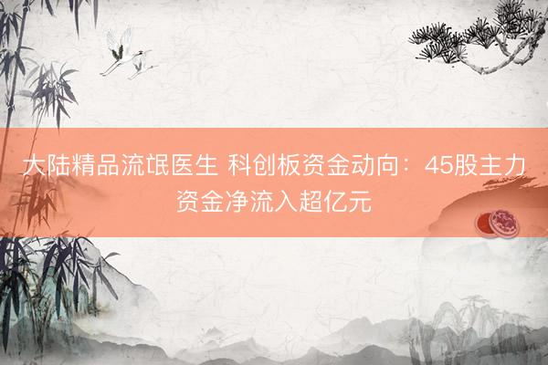 大陆精品流氓医生 科创板资金动向：45股主力资金净流入超亿元