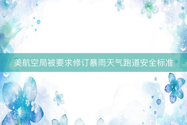 美航空局被要求修订暴雨天气跑道安全标准