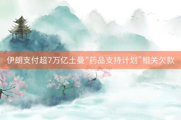 伊朗支付超7万亿土曼“药品支持计划”相关欠款