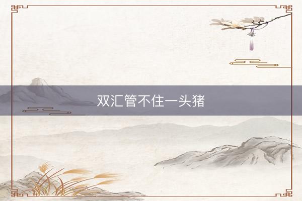 双汇管不住一头猪
