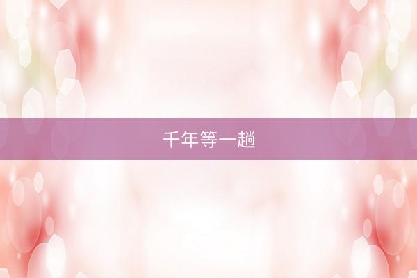 千年等一趟