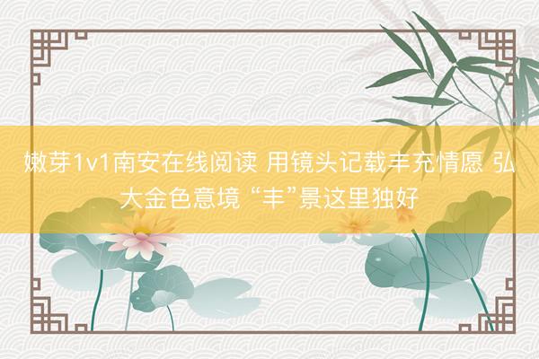 嫩芽1v1南安在线阅读 用镜头记载丰充情愿 弘大金色意境 “丰”景这里独好