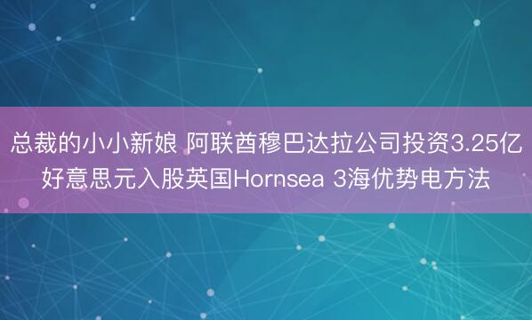 总裁的小小新娘 阿联酋穆巴达拉公司投资3.25亿好意思元入股英国Hornsea 3海优势电方法