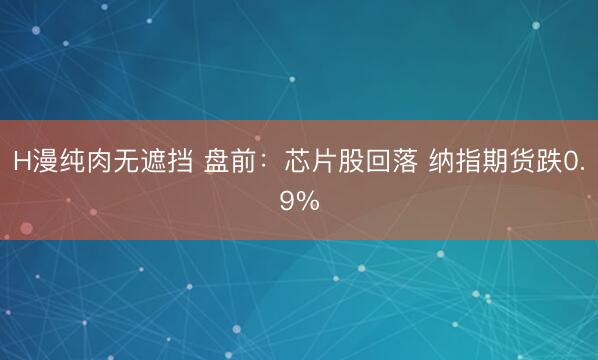 H漫纯肉无遮挡 盘前：芯片股回落 纳指期货跌0.9%