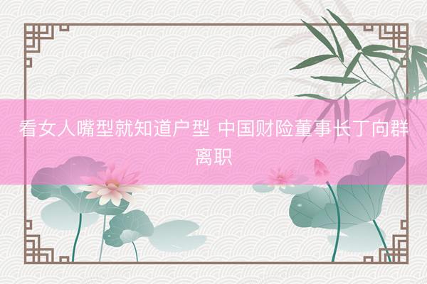 看女人嘴型就知道户型 中国财险董事长丁向群离职