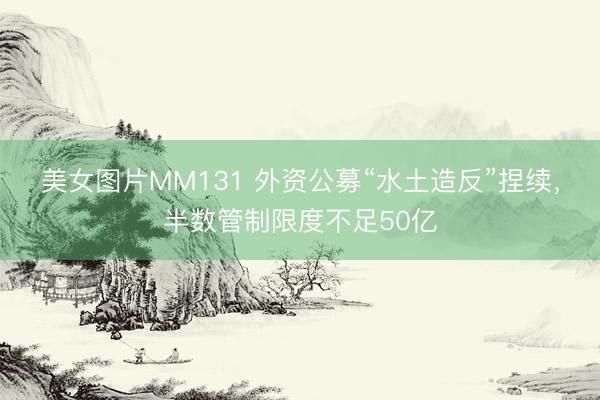 美女图片MM131 外资公募“水土造反”捏续，半数管制限度不足50亿