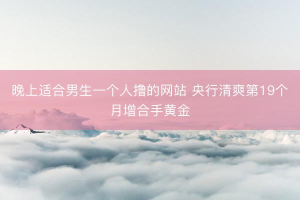晚上适合男生一个人撸的网站 央行清爽第19个月增合手黄金
