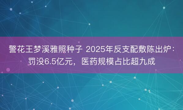 警花王梦溪雅照种子 2025年反支配敷陈出炉:罚没6.5亿元,医药规模占比超九成