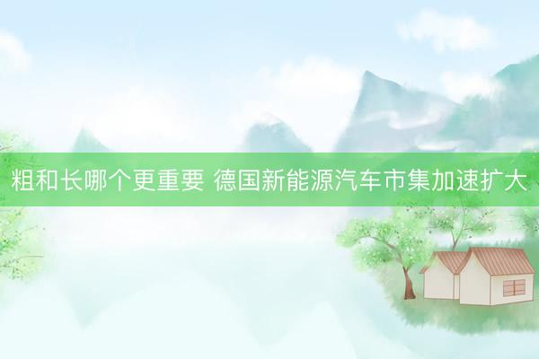 粗和长哪个更重要 德国新能源汽车市集加速扩大