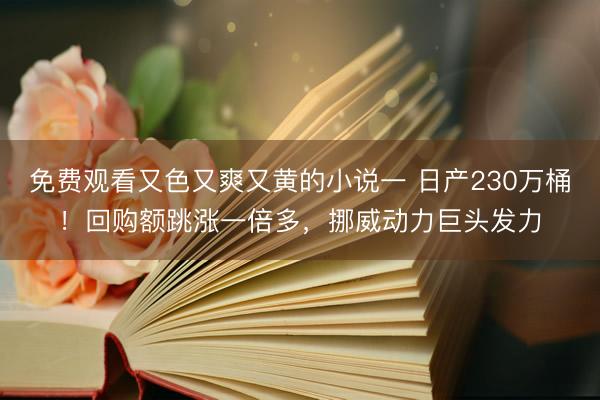 免费观看又色又爽又黄的小说一 日产230万桶！回购额跳涨一倍多，挪威动力巨头发力