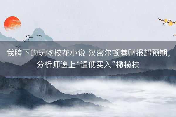 我胯下的玩物校花小说 汉密尔顿巷财报超预期，分析师递上“逢低买入”橄榄枝