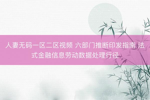 人妻无码一区二区视频 六部门推断印发指南 法式金融信息劳动数据处理行径