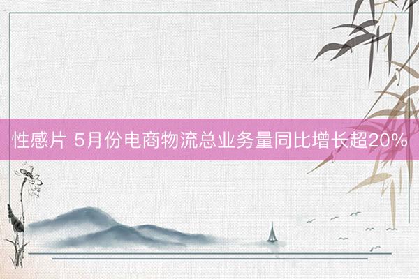 性感片 5月份电商物流总业务量同比增长超20%